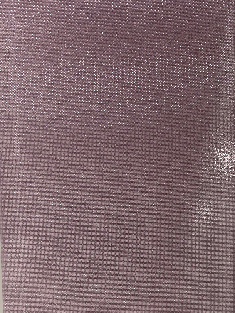 GLASS(FOR DOOR)